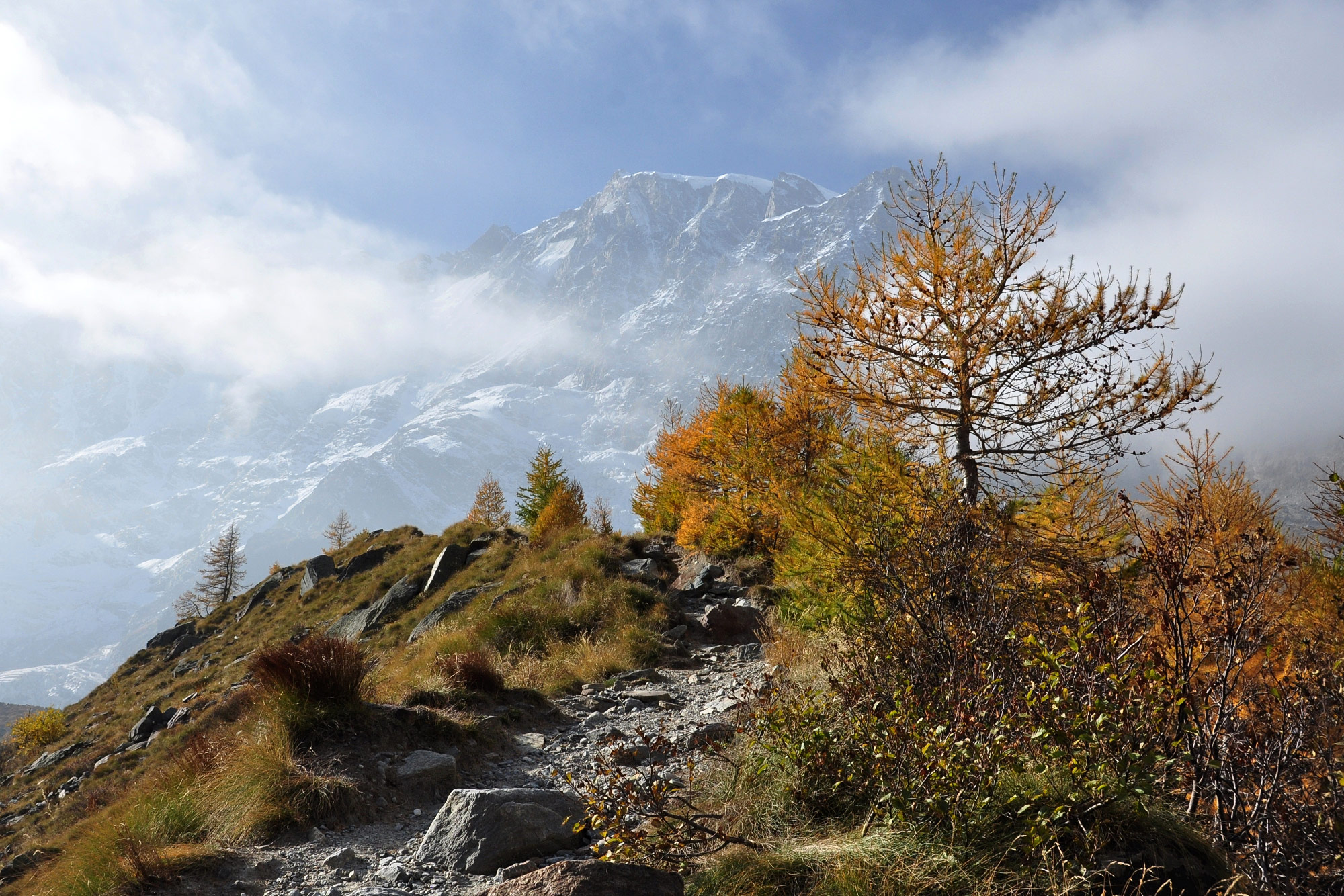 Monte Rosa